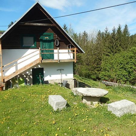 Ferienhaus Am Reitbauernhof Luckyranch Mellach  Kültér fotó