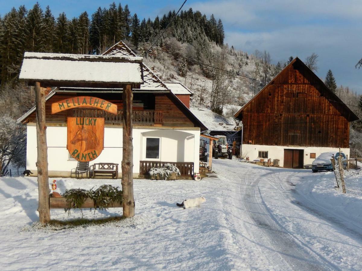 Ferienhaus Am Reitbauernhof Luckyranch Mellach  Kültér fotó